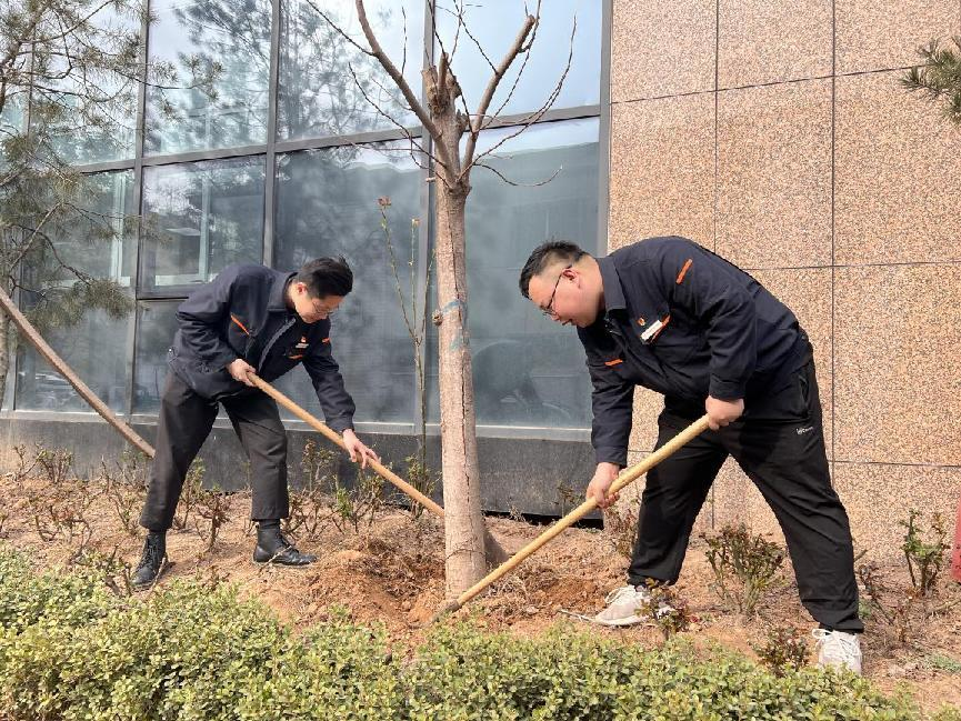 Z6���������ǲ�(�й���)�ٷ���վ