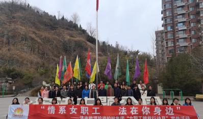 ��Z6�������ǲ��Ļ���Z6�������ǲ� ��չ��άȨ�ж��� ��ȫӭ���ˡ��