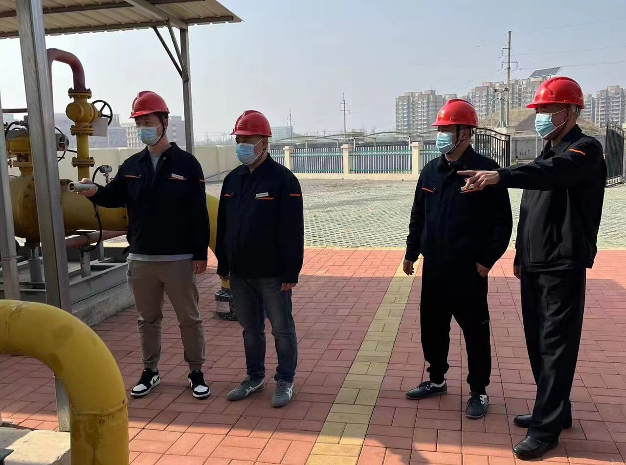 Z6���������ǲ�(�й���)�ٷ���վ