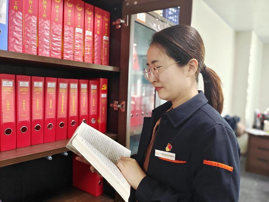 Z6���������ǲ�(�й���)�ٷ���վ