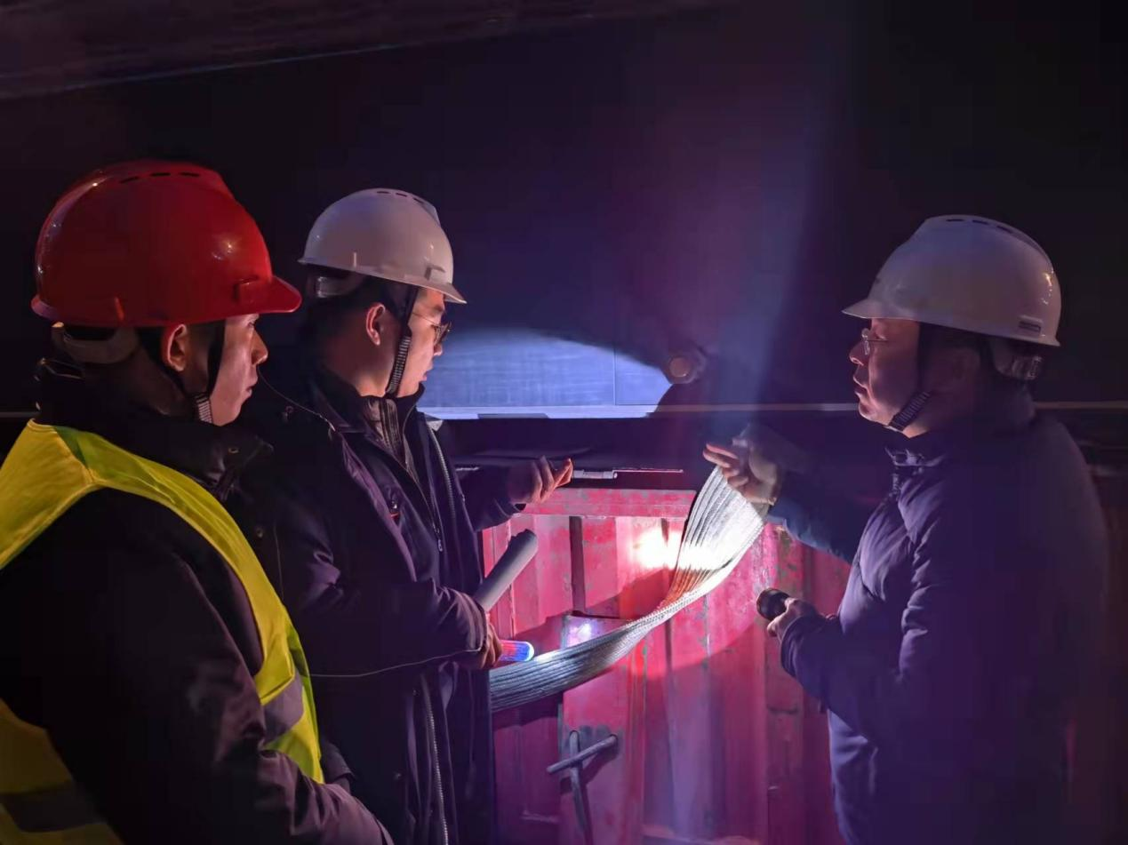 Z6���������ǲ�(�й���)�ٷ���վ