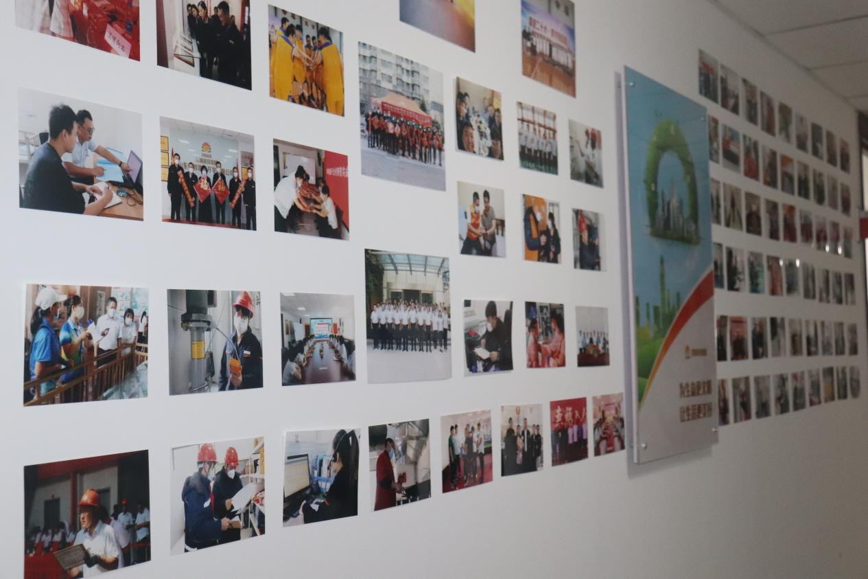 Z6���������ǲ�(�й���)�ٷ���վ