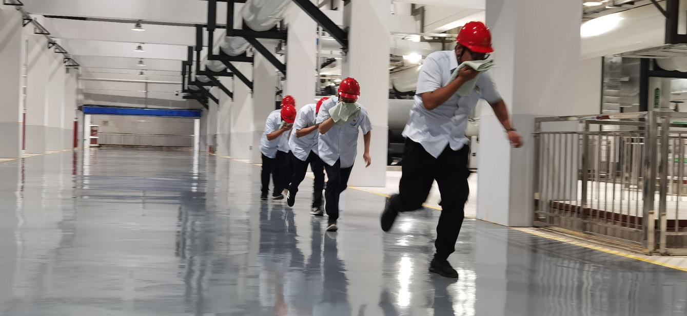 Z6���������ǲ�(�й���)�ٷ���վ