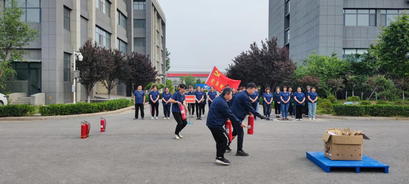 Z6���������ǲ�(�й���)�ٷ���վ