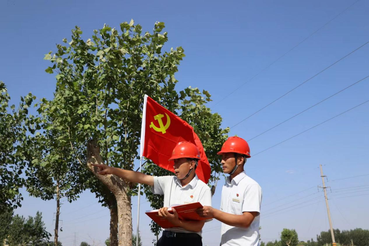 Z6���������ǲ�(�й���)�ٷ���վ