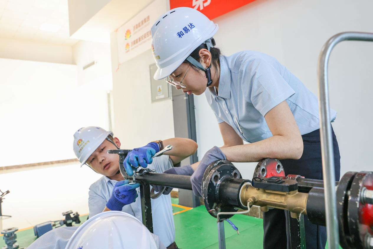 Z6���������ǲ�(�й���)�ٷ���վ