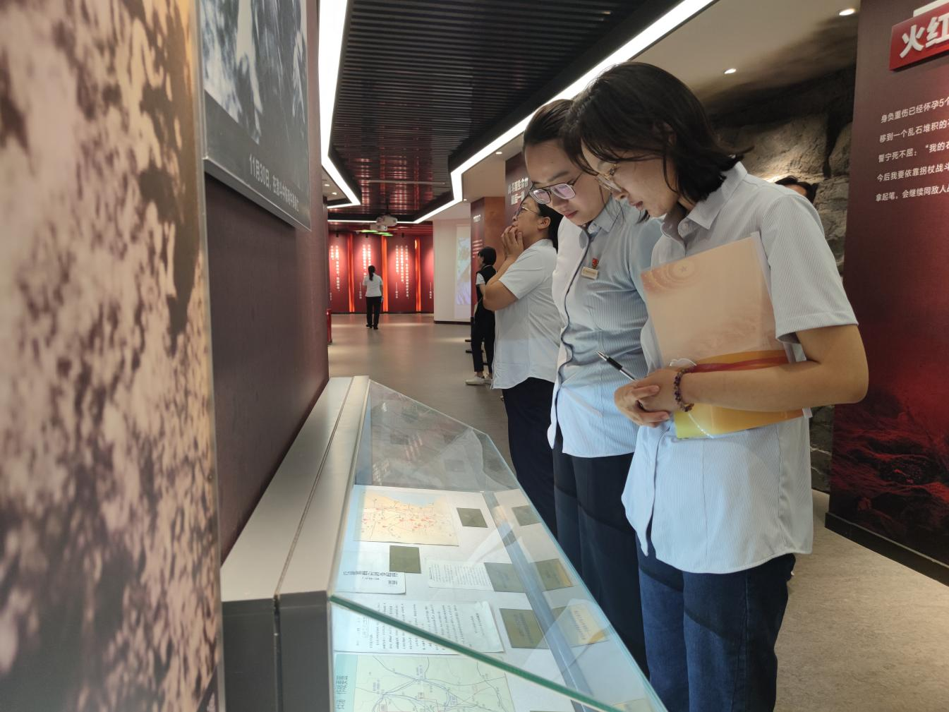 Z6���������ǲ�(�й���)�ٷ���վ