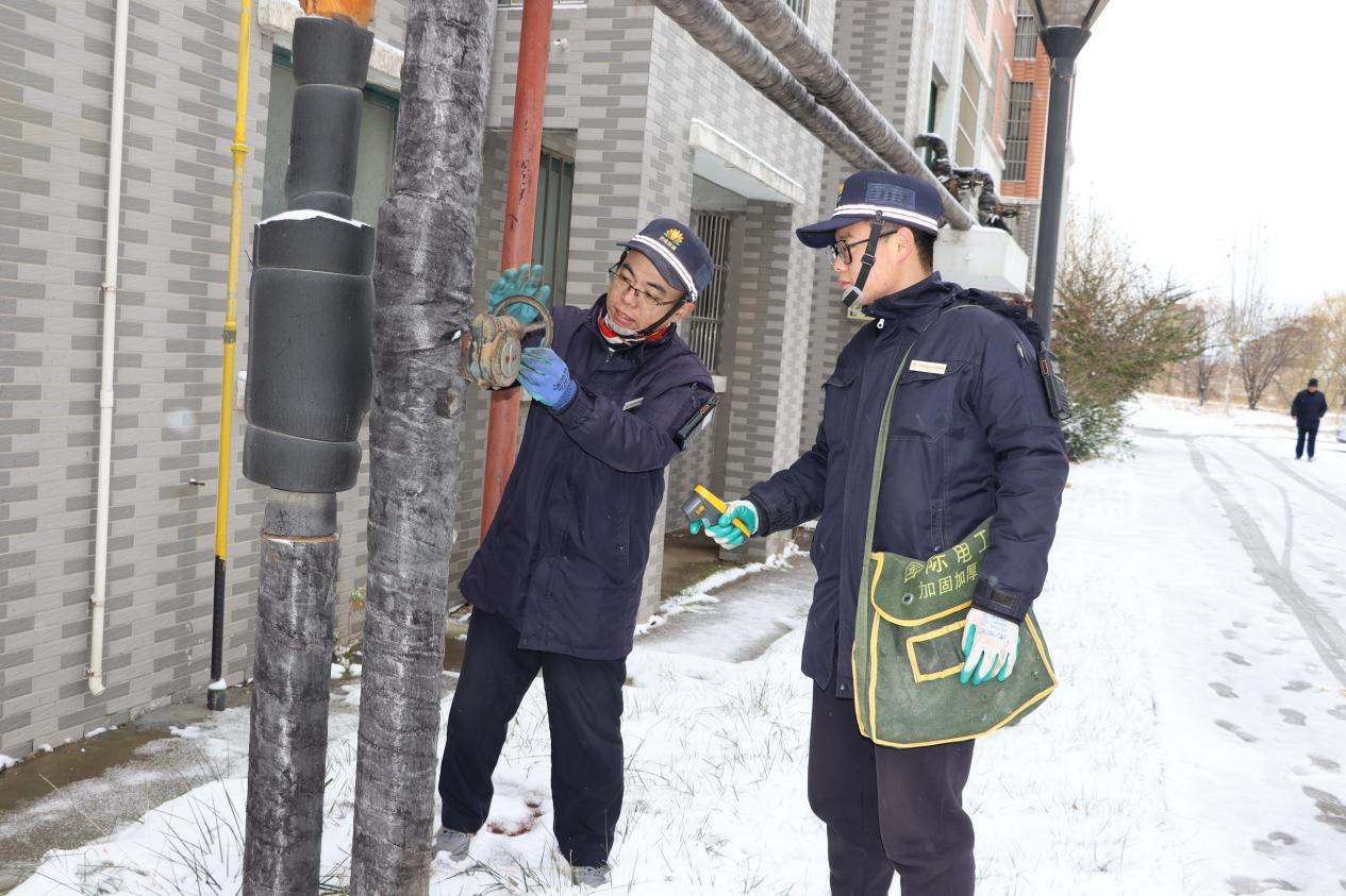 Z6���������ǲ�(�й���)�ٷ���վ