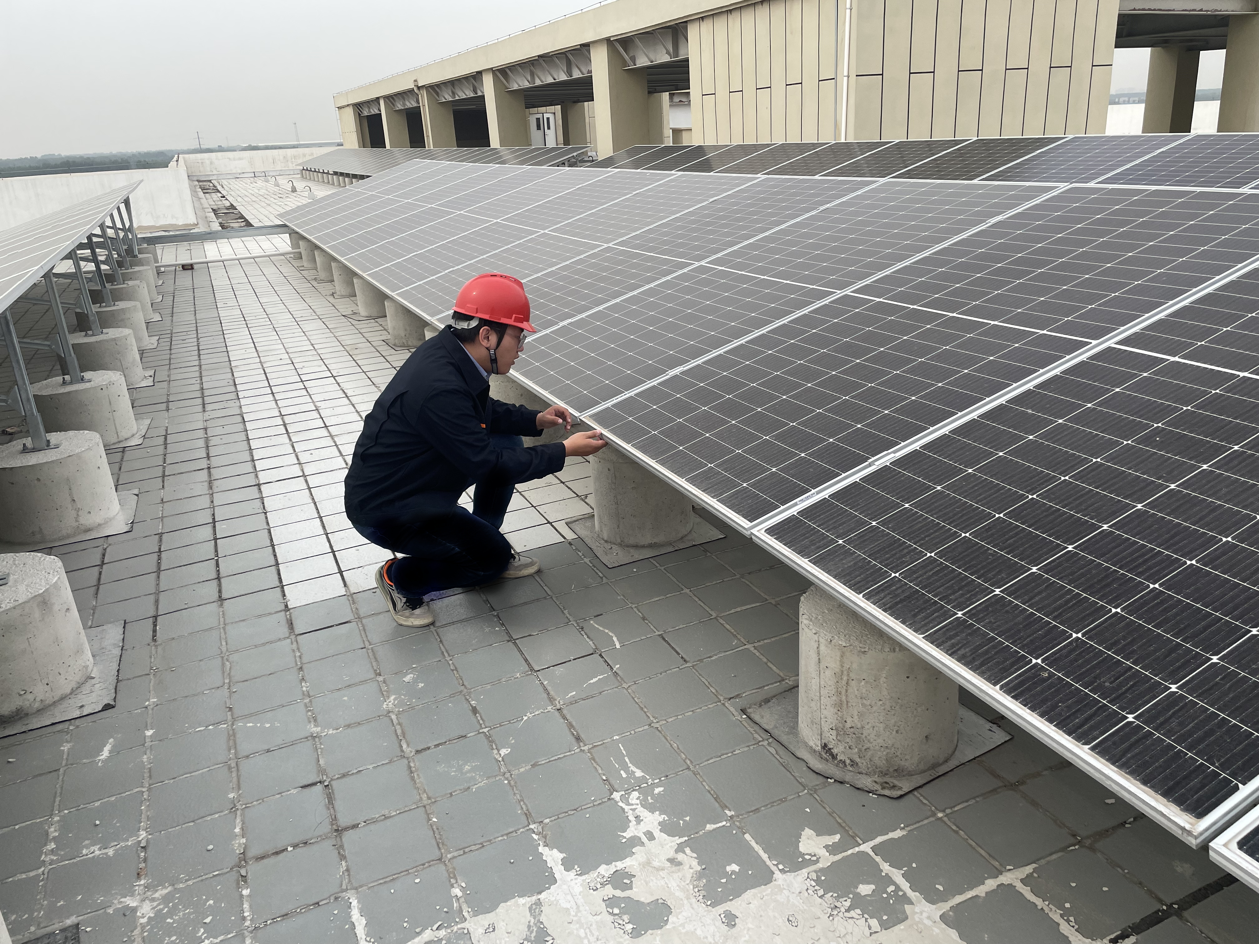 Z6���������ǲ�(�й���)�ٷ���վ