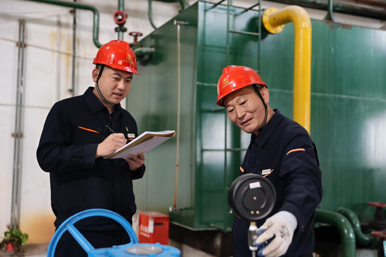 Z6���������ǲ�(�й���)�ٷ���վ