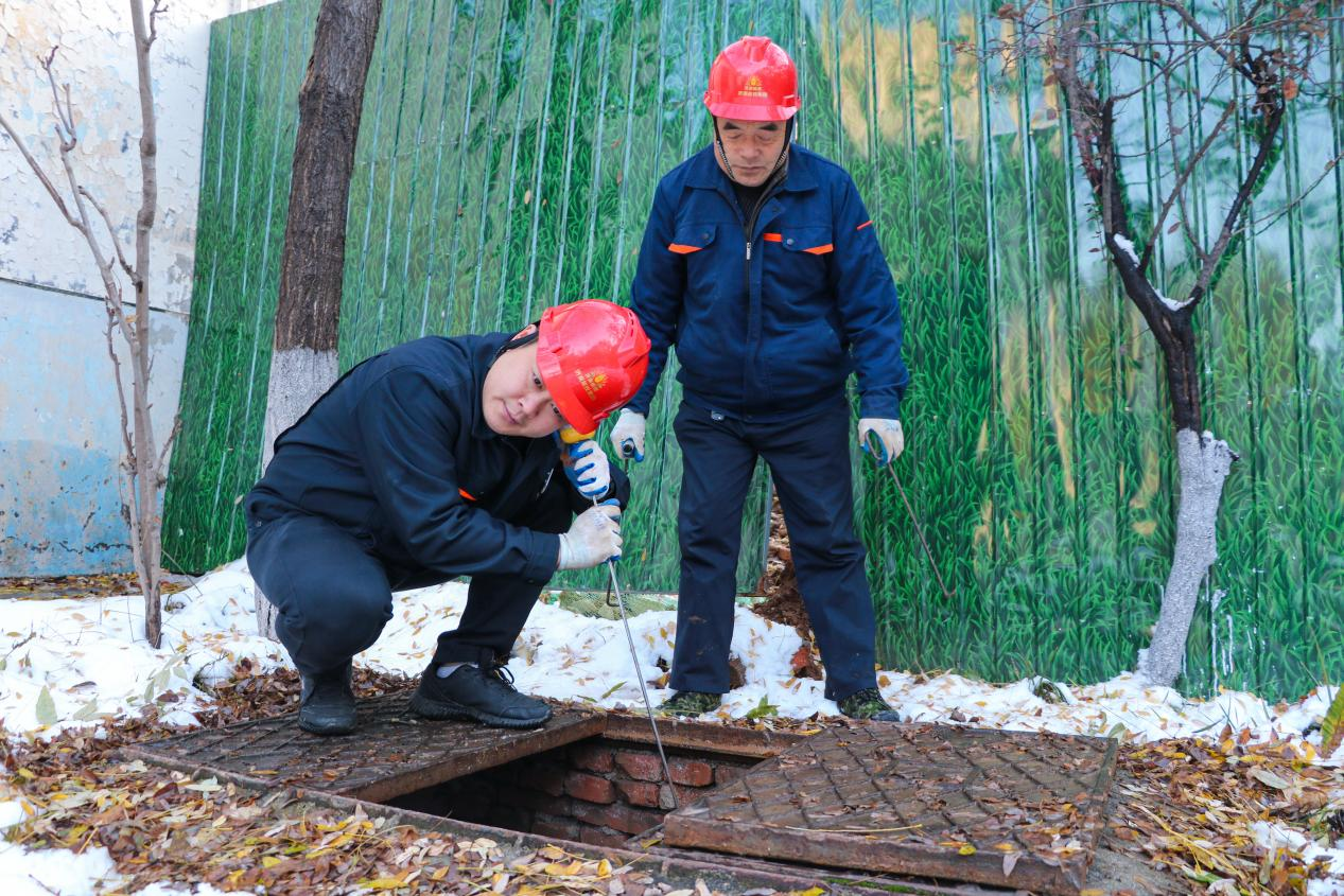 Z6���������ǲ�(�й���)�ٷ���վ