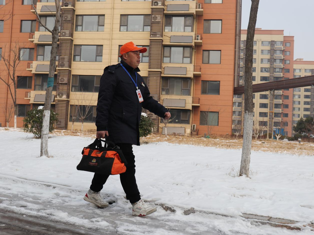 Z6���������ǲ�(�й���)�ٷ���վ