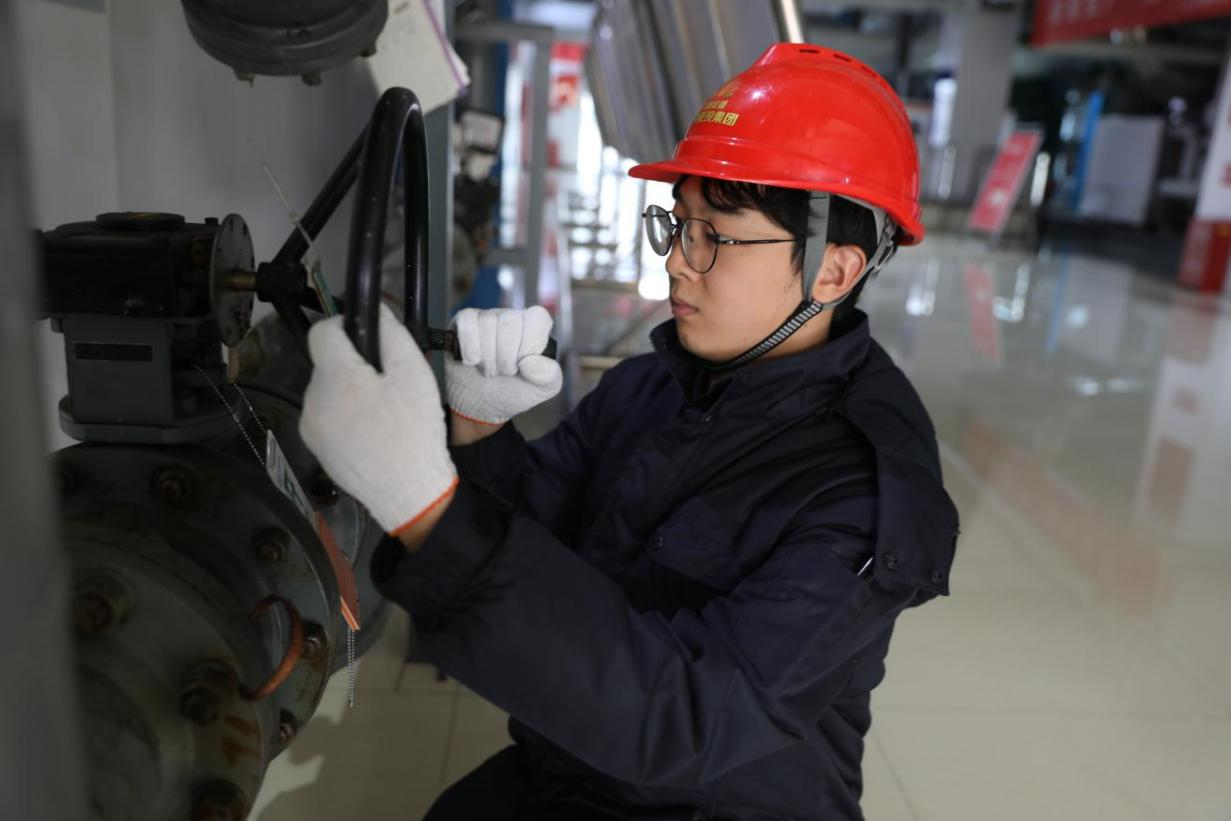 Z6���������ǲ�(�й���)�ٷ���վ