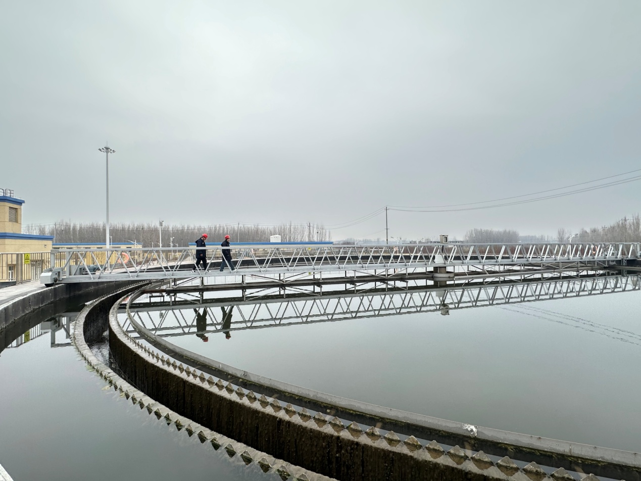 Z6���������ǲ�(�й���)�ٷ���վ