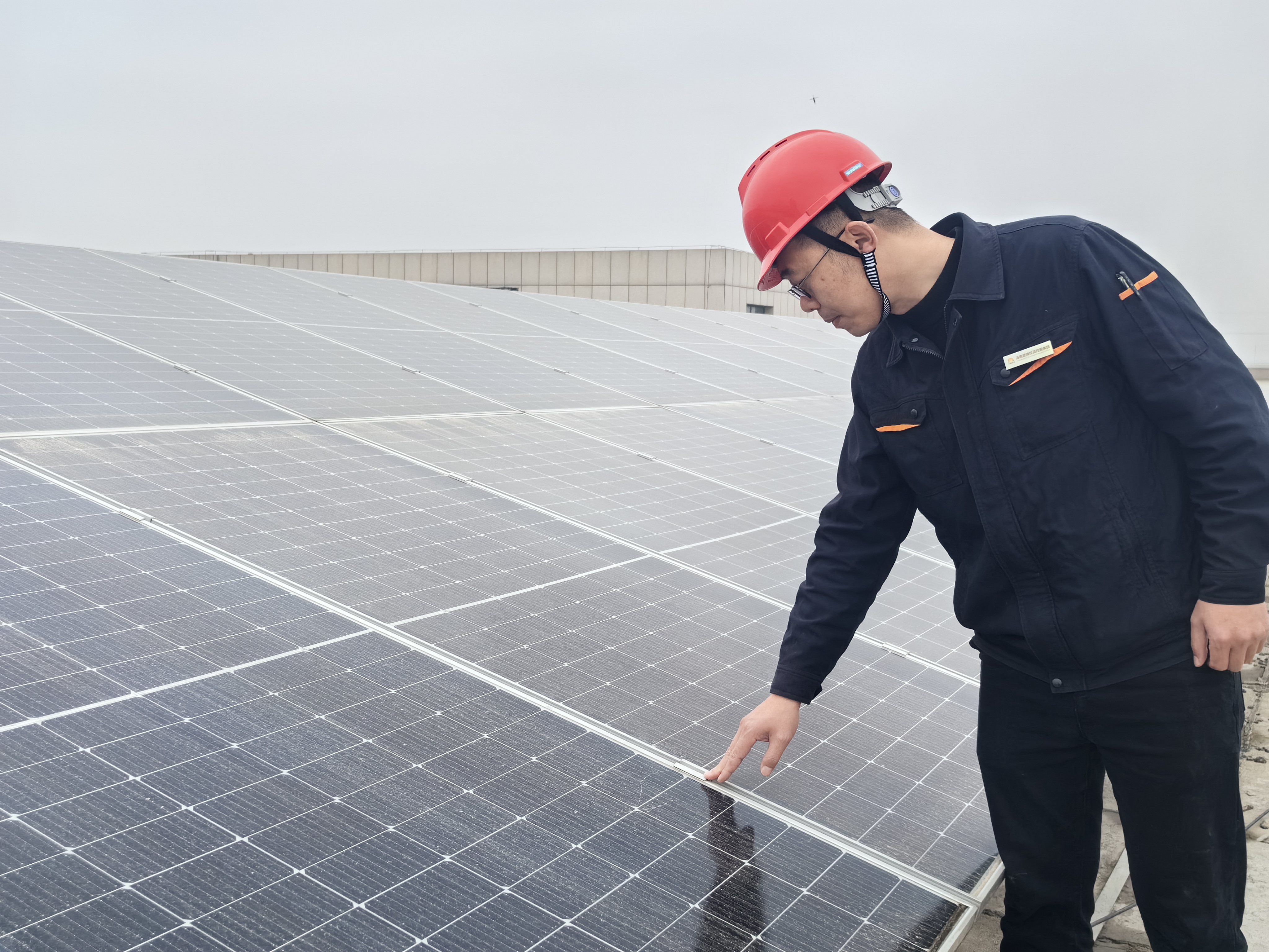 Z6���������ǲ�(�й���)�ٷ���վ