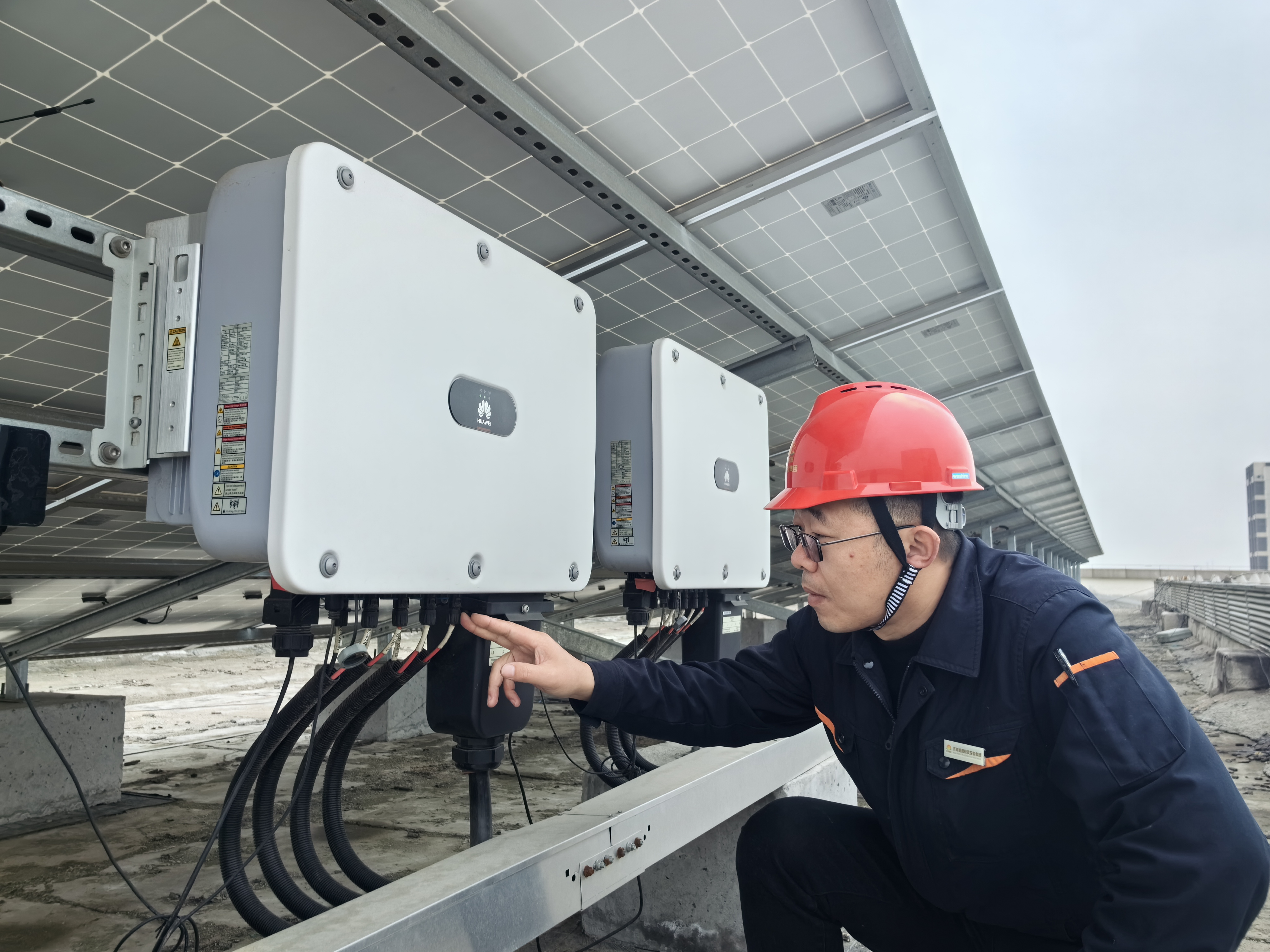 Z6���������ǲ�(�й���)�ٷ���վ