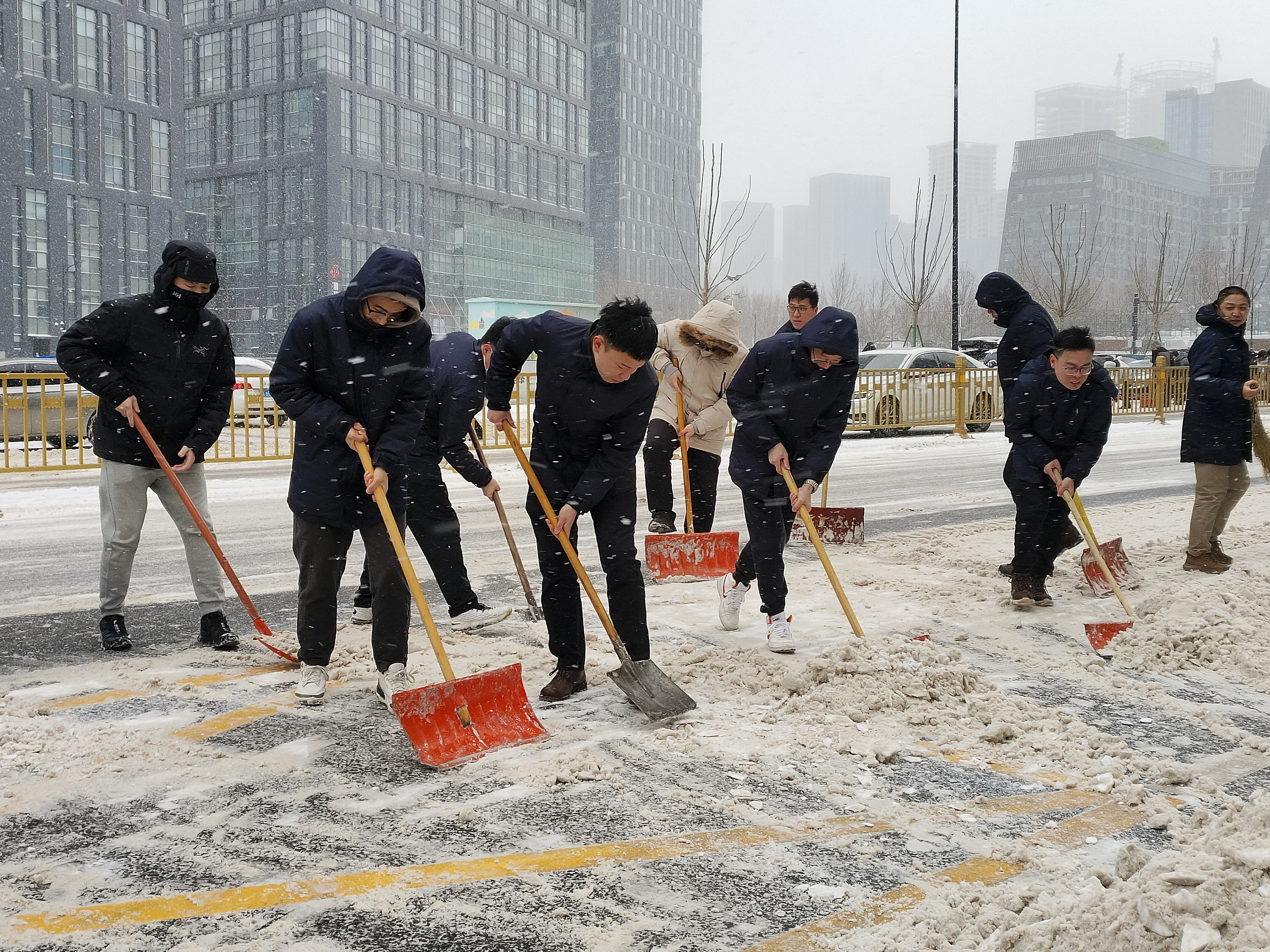 Z6���������ǲ�(�й���)�ٷ���վ