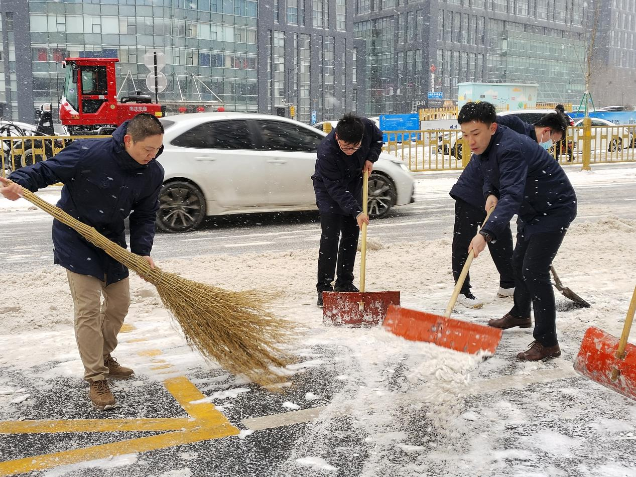 Z6���������ǲ�(�й���)�ٷ���վ