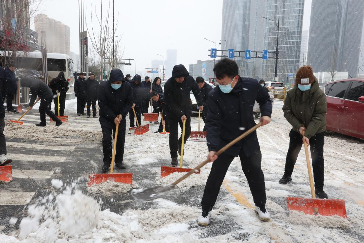 Z6���������ǲ�(�й���)�ٷ���վ