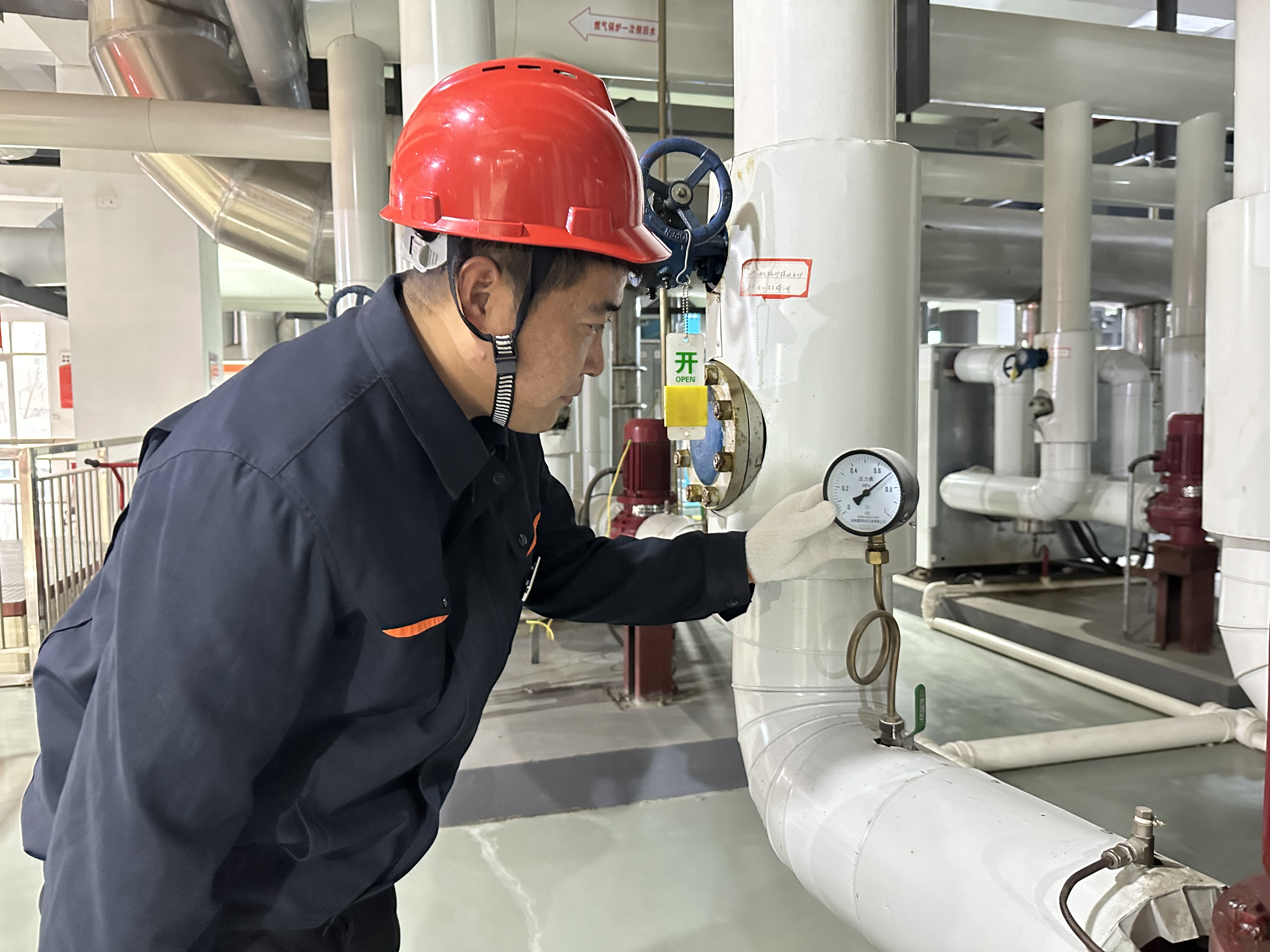 Z6���������ǲ�(�й���)�ٷ���վ