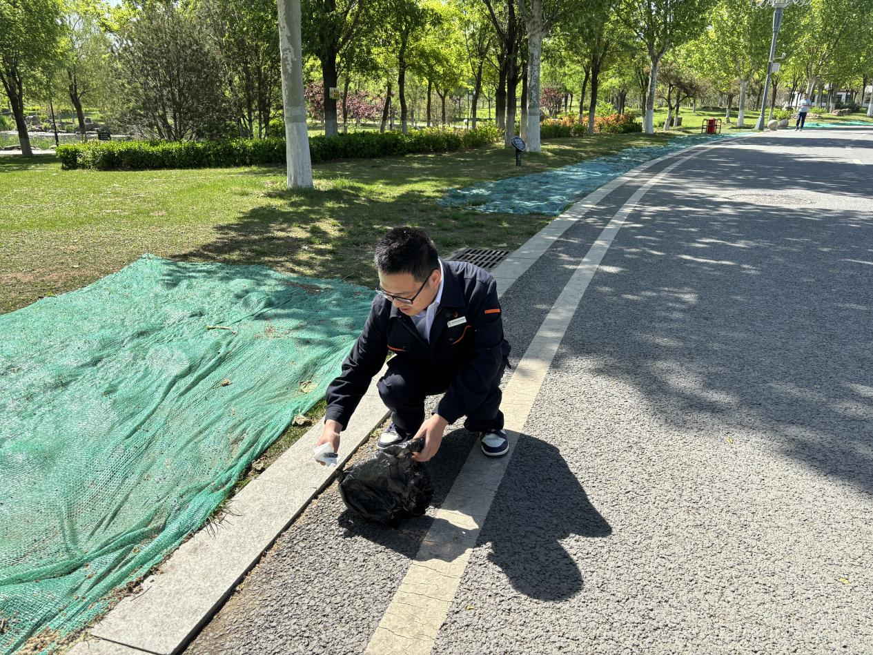 Z6���������ǲ�(�й���)�ٷ���վ