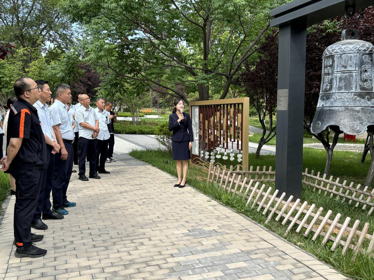 Z6���������ǲ�(�й���)�ٷ���վ