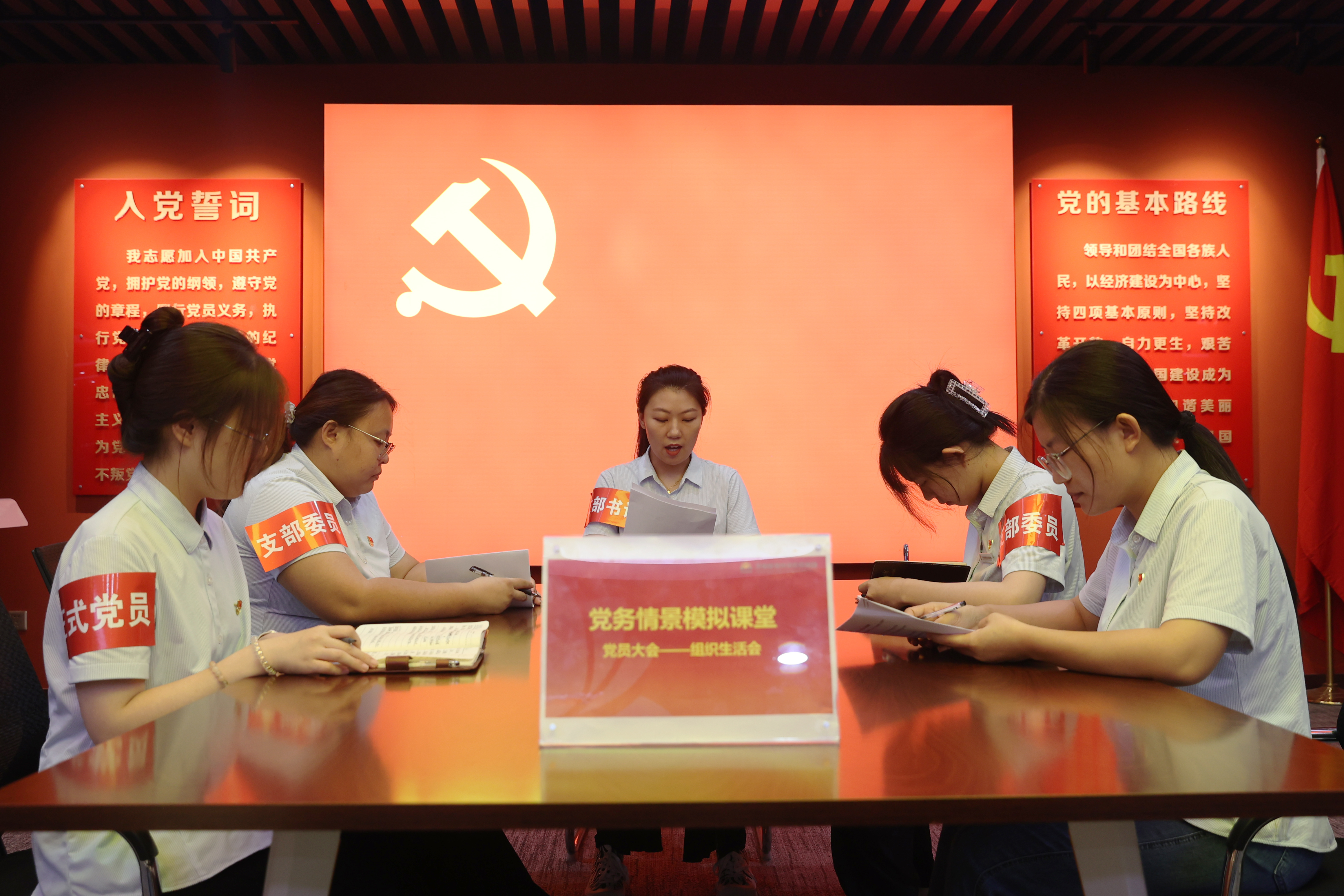 Z6���������ǲ�(�й���)�ٷ���վ