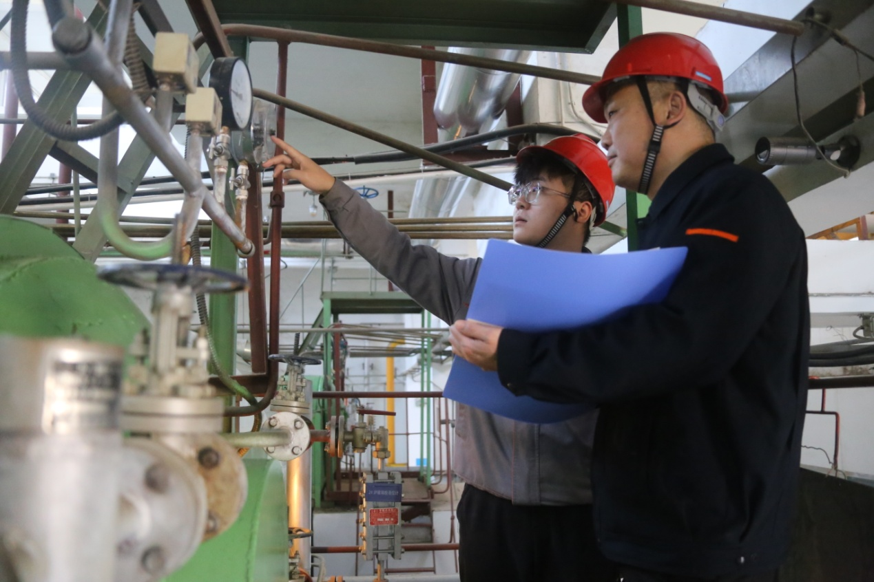 Z6���������ǲ�(�й���)�ٷ���վ