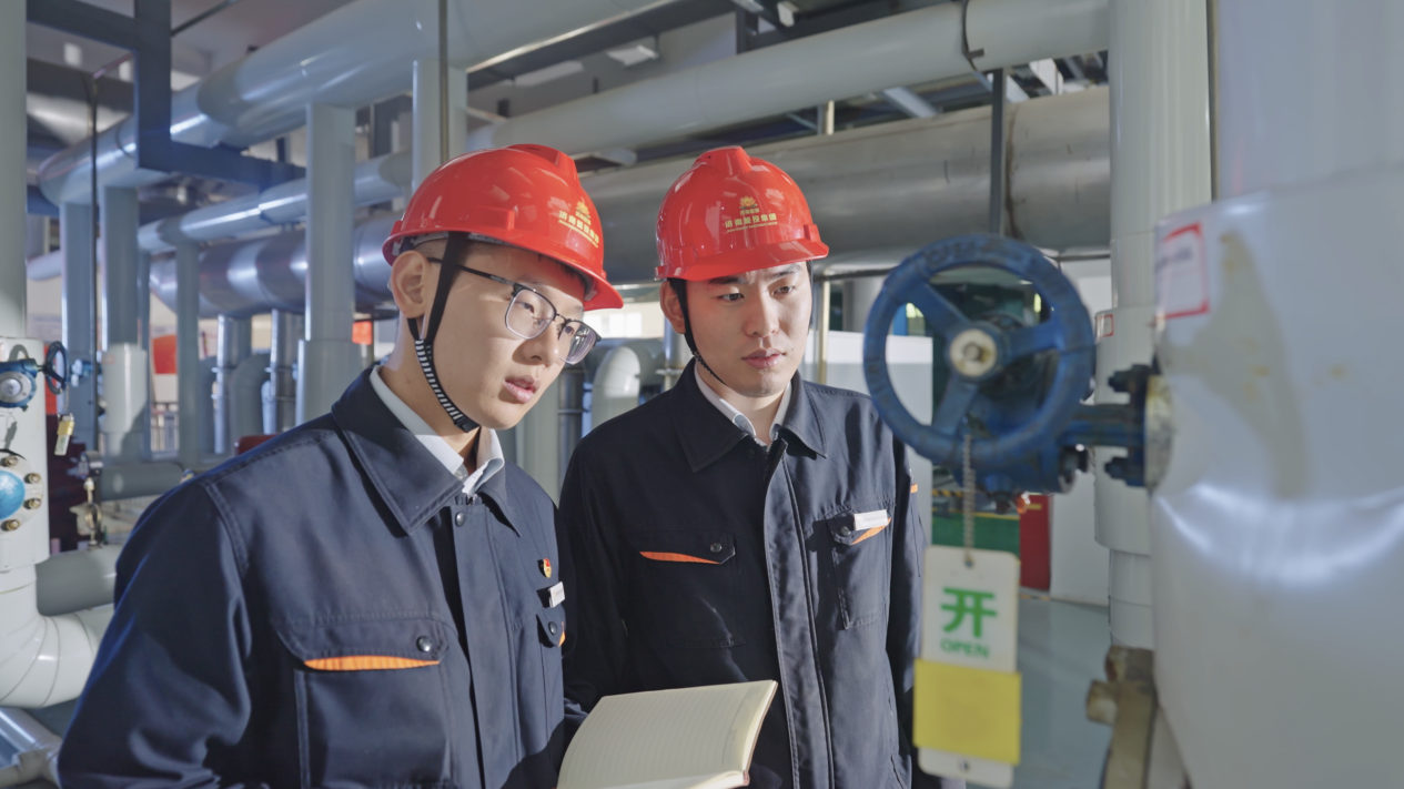 Z6���������ǲ�(�й���)�ٷ���վ