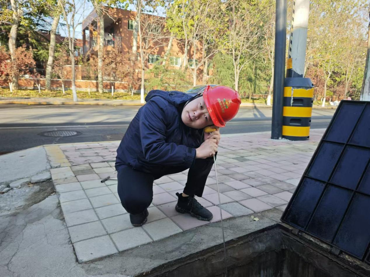 Z6���������ǲ�(�й���)�ٷ���վ