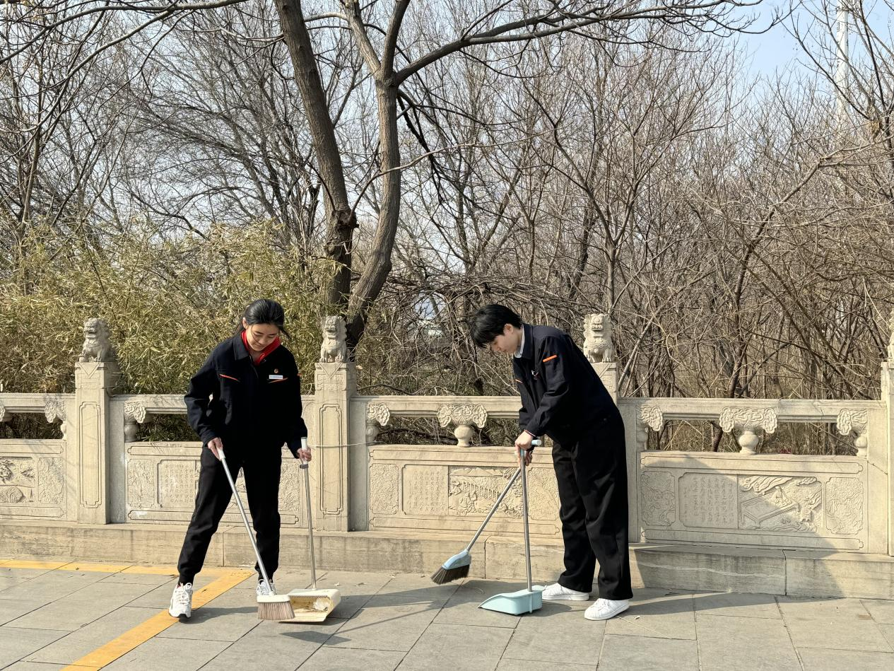 Z6���������ǲ�(�й���)�ٷ���վ