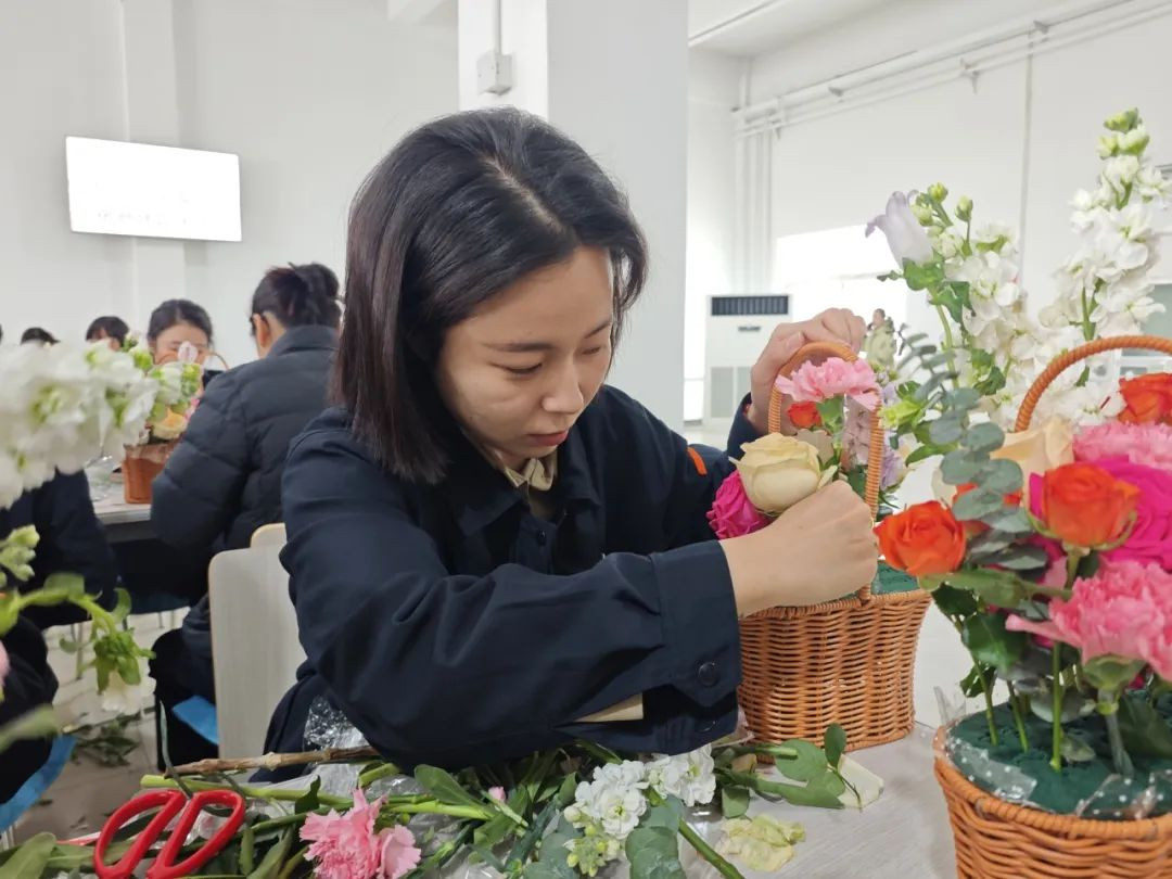 Z6���������ǲ�(�й���)�ٷ���վ