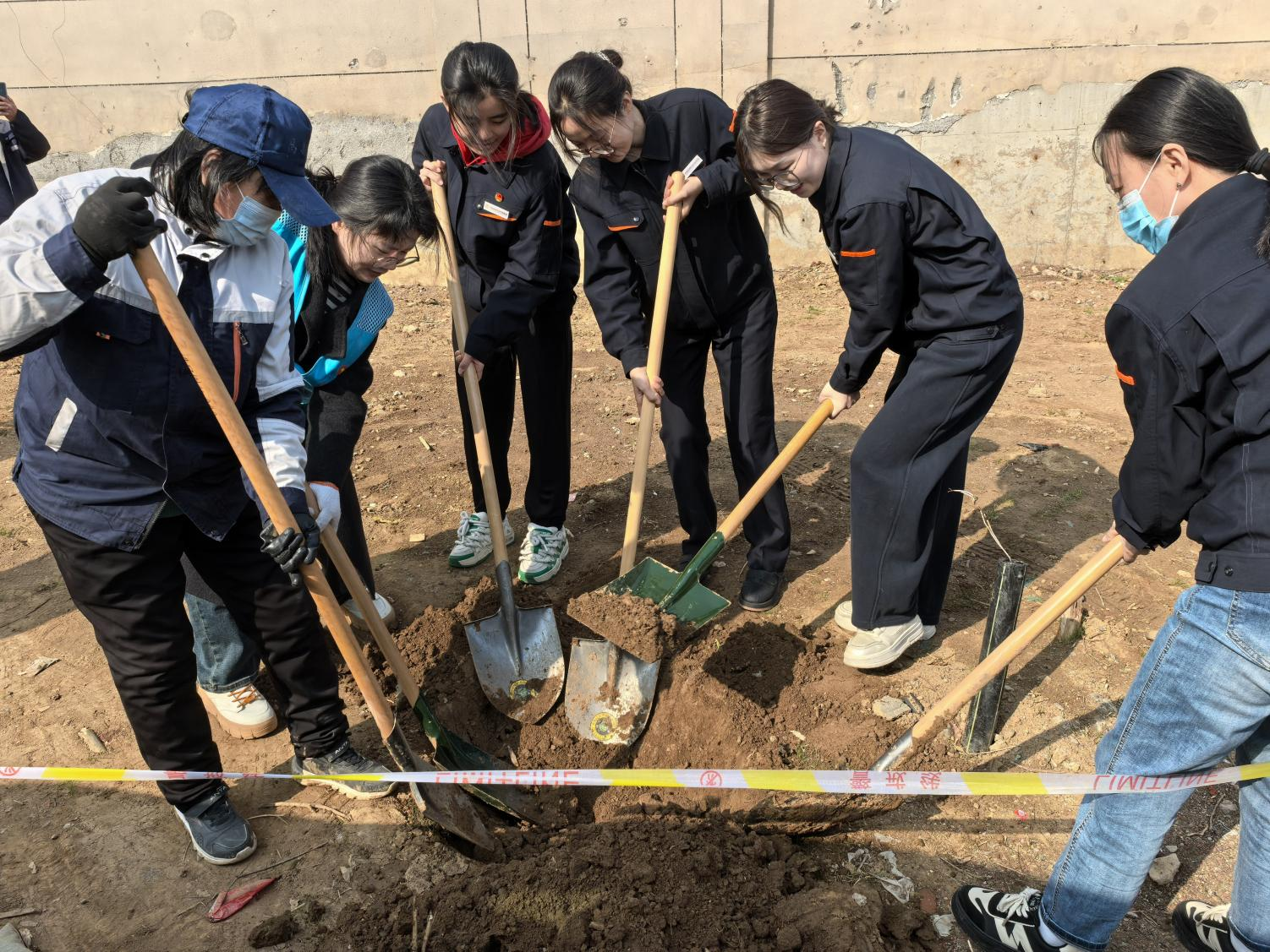 Z6���������ǲ�(�й���)�ٷ���վ