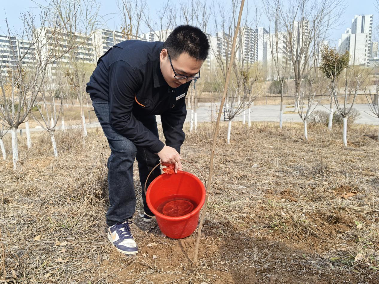 Z6���������ǲ�(�й���)�ٷ���վ