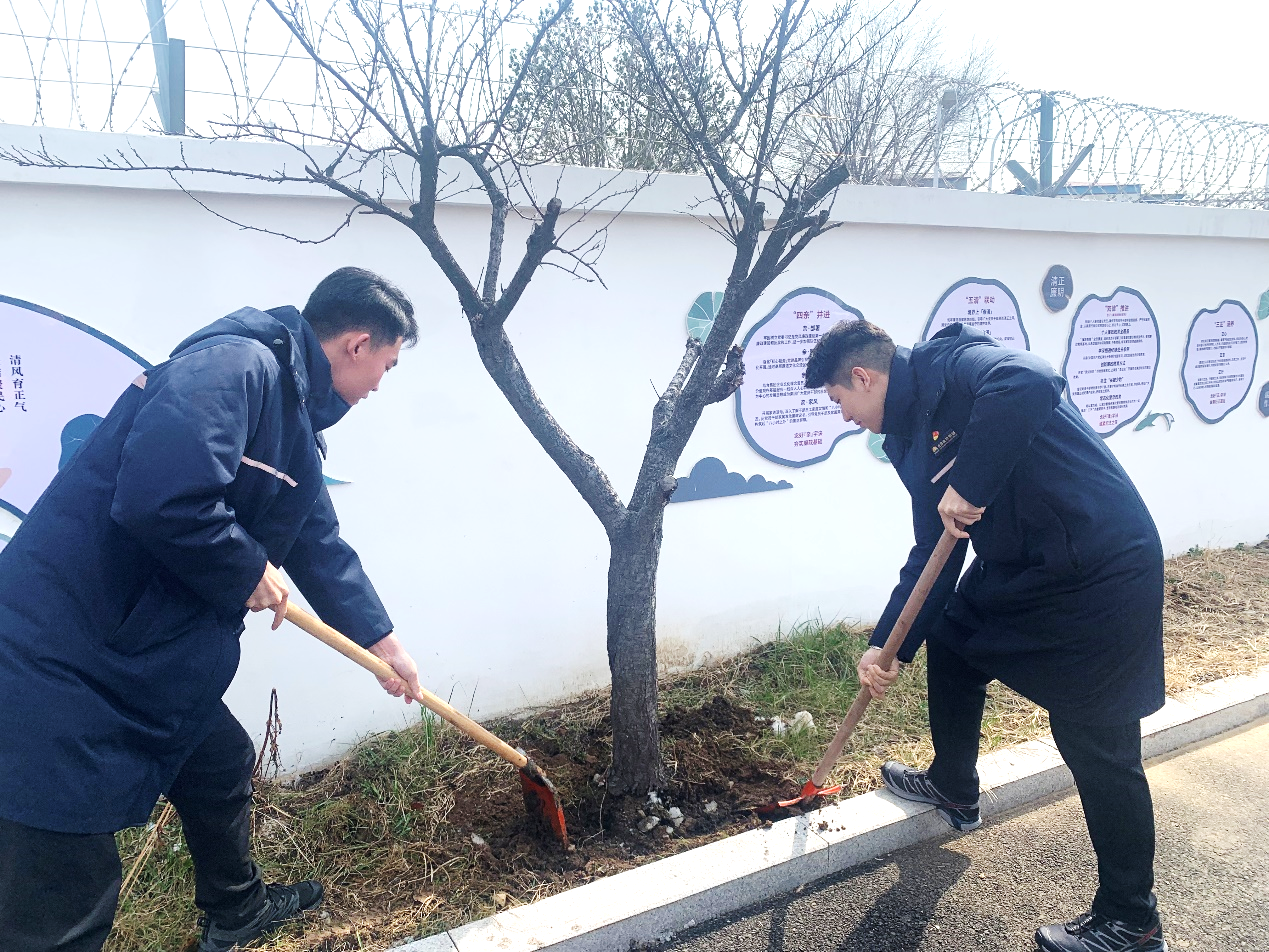 Z6���������ǲ�(�й���)�ٷ���վ