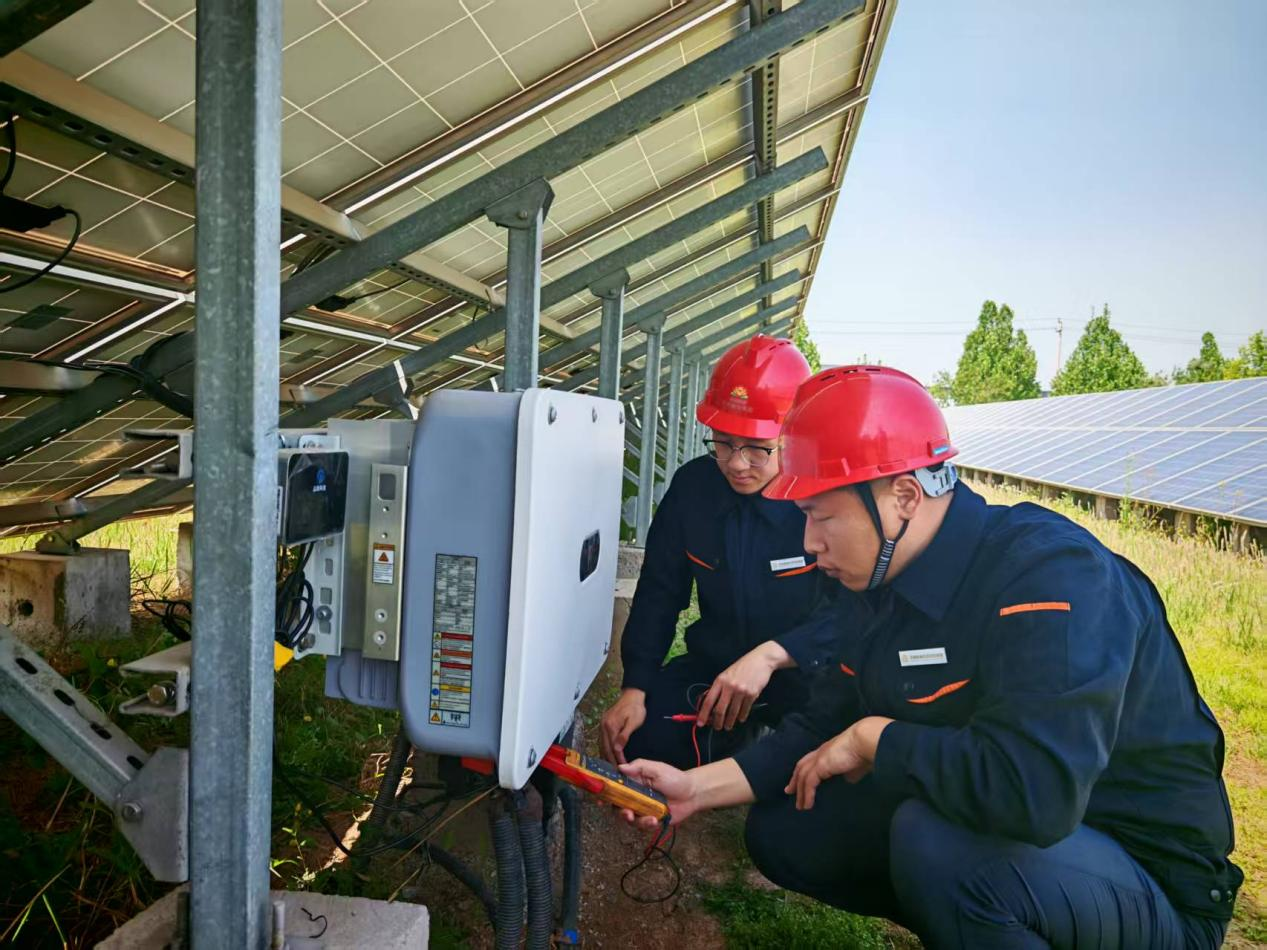 Z6���������ǲ�(�й���)�ٷ���վ