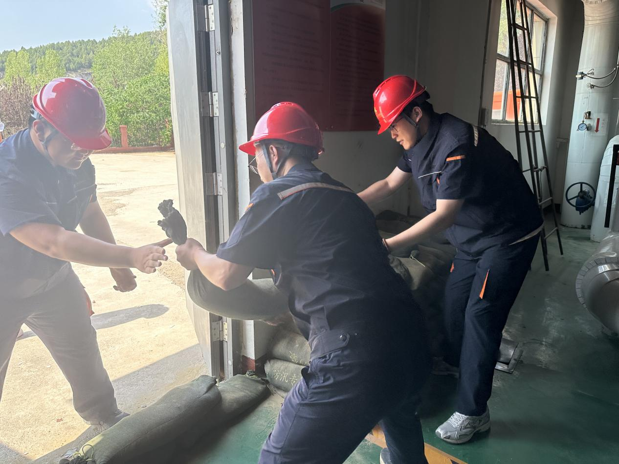 Z6���������ǲ�(�й���)�ٷ���վ