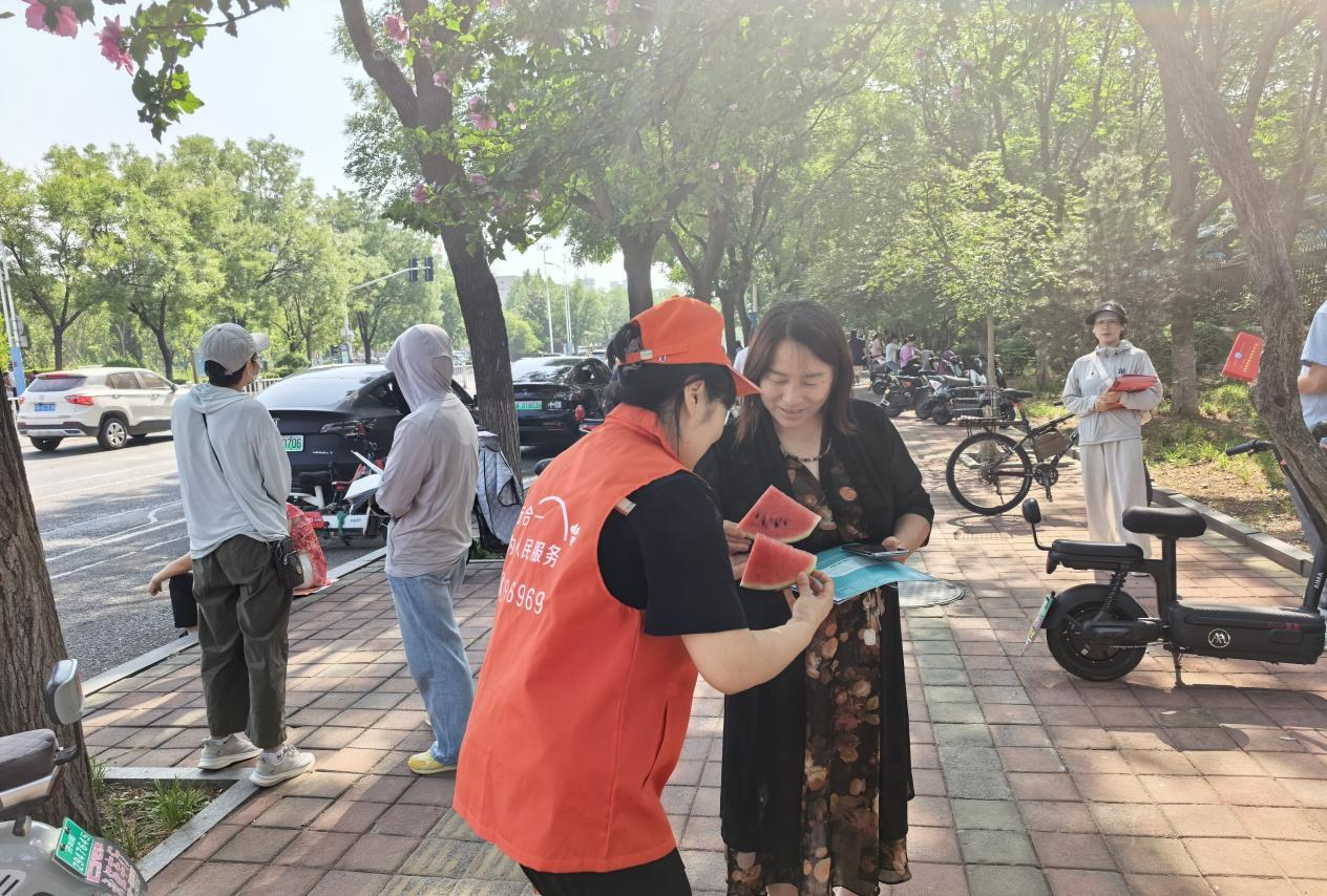 Z6���������ǲ�(�й���)�ٷ���վ