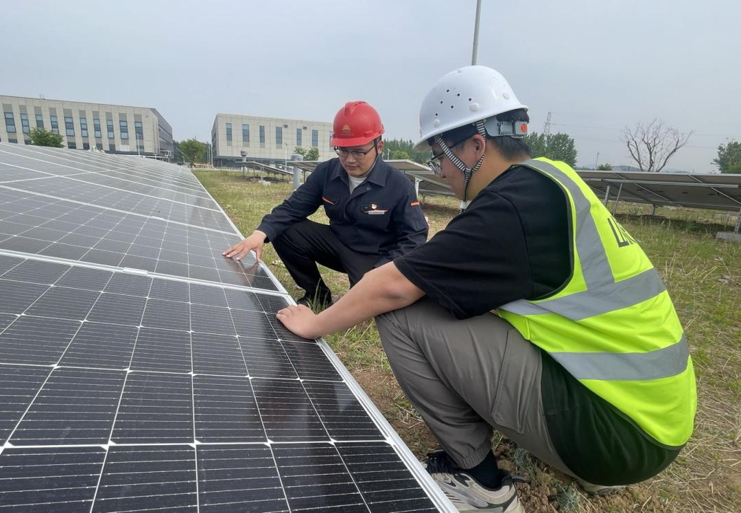 Z6���������ǲ�(�й���)�ٷ���վ