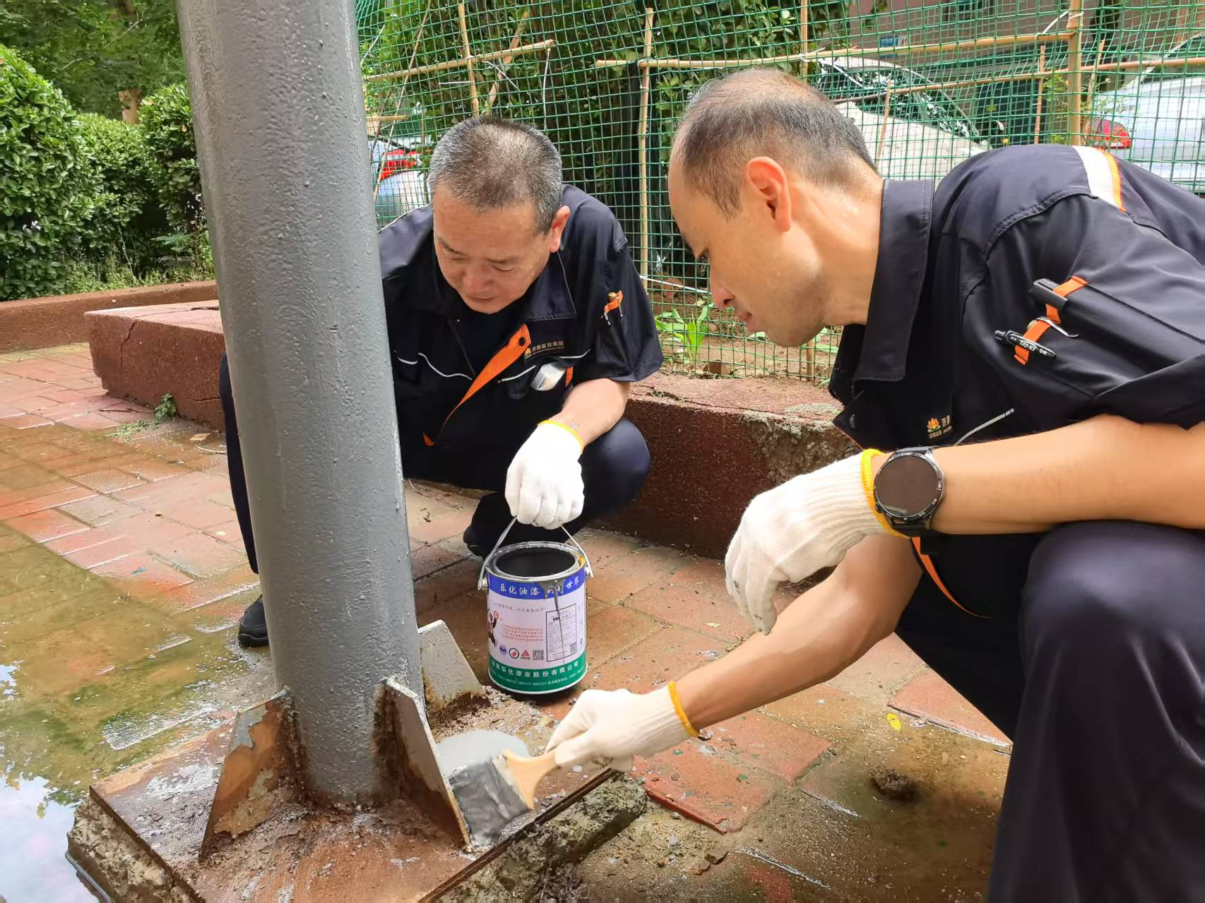 Z6���������ǲ�(�й���)�ٷ���վ