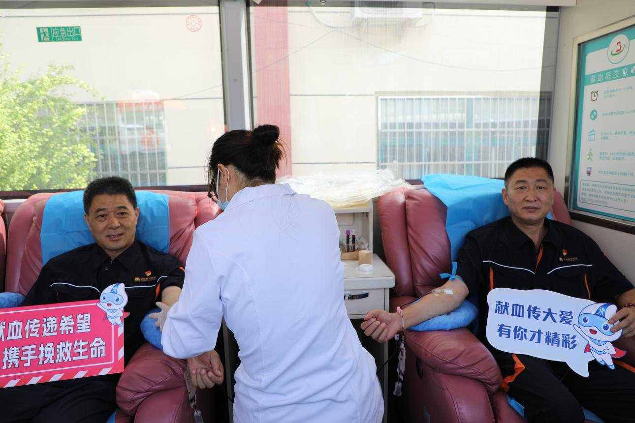 Z6���������ǲ�(�й���)�ٷ���վ