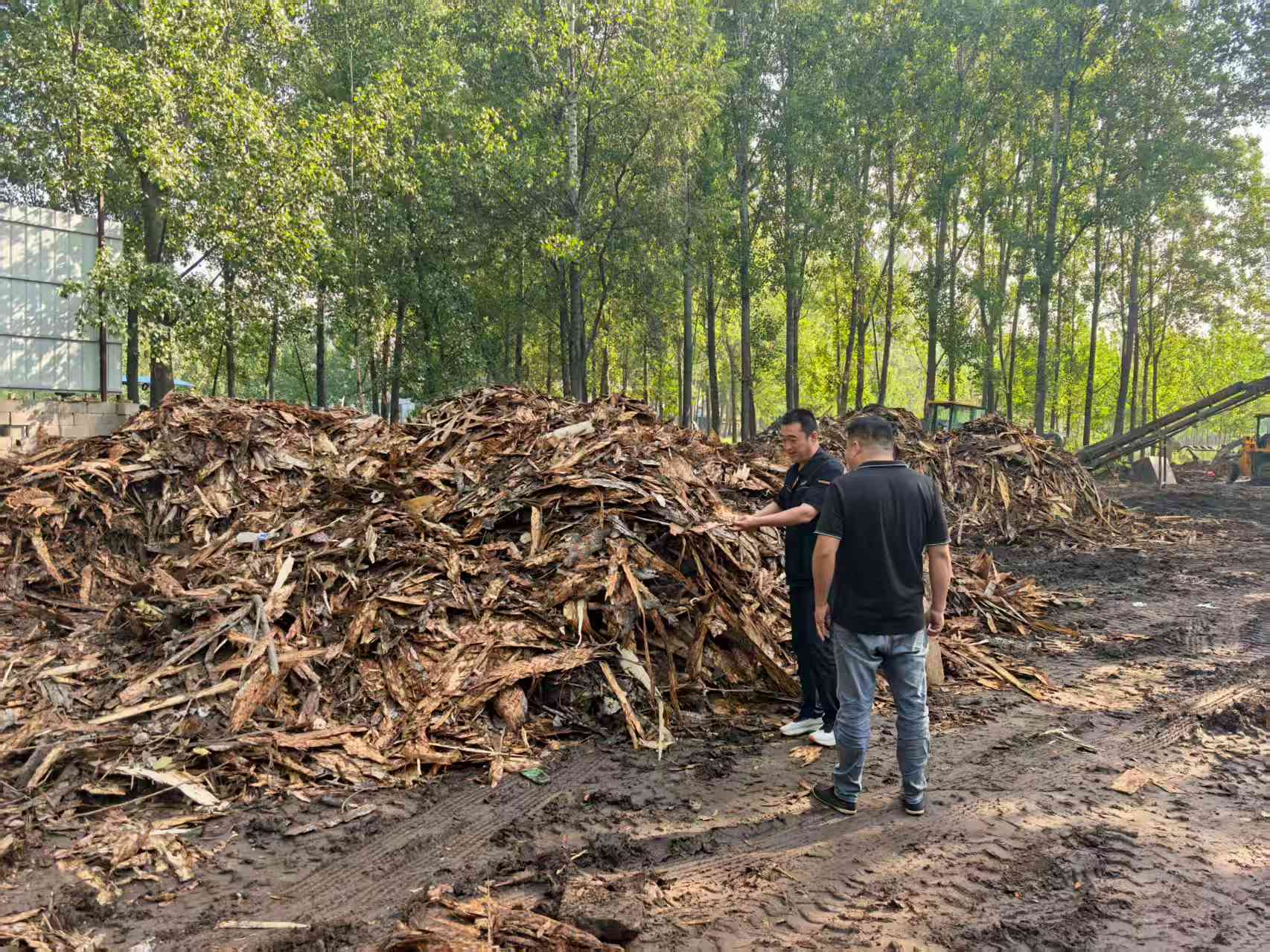 Z6���������ǲ�(�й���)�ٷ���վ