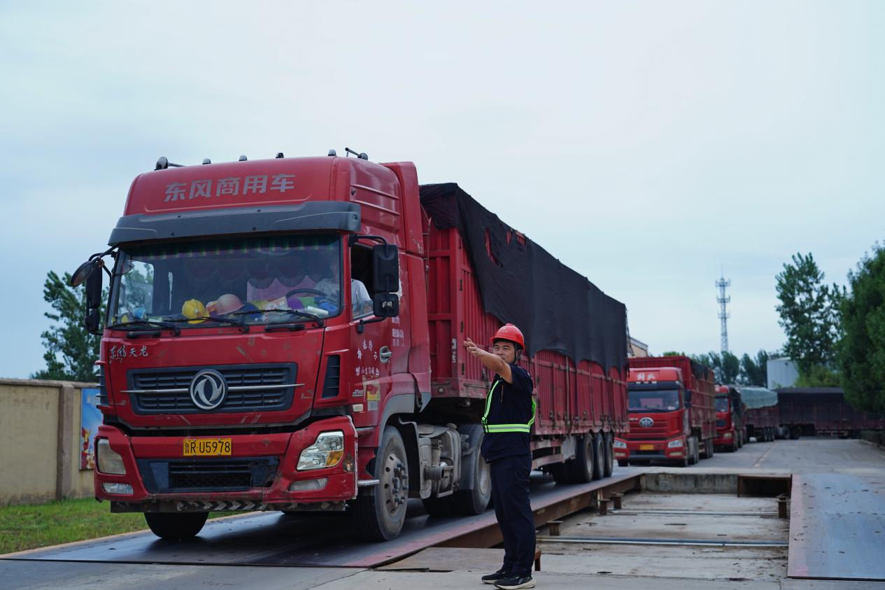 Z6���������ǲ�(�й���)�ٷ���վ