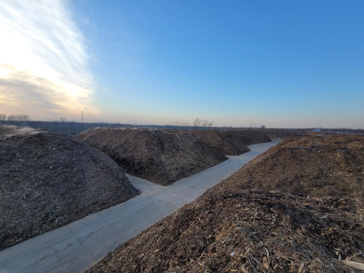 Z6���������ǲ�(�й���)�ٷ���վ