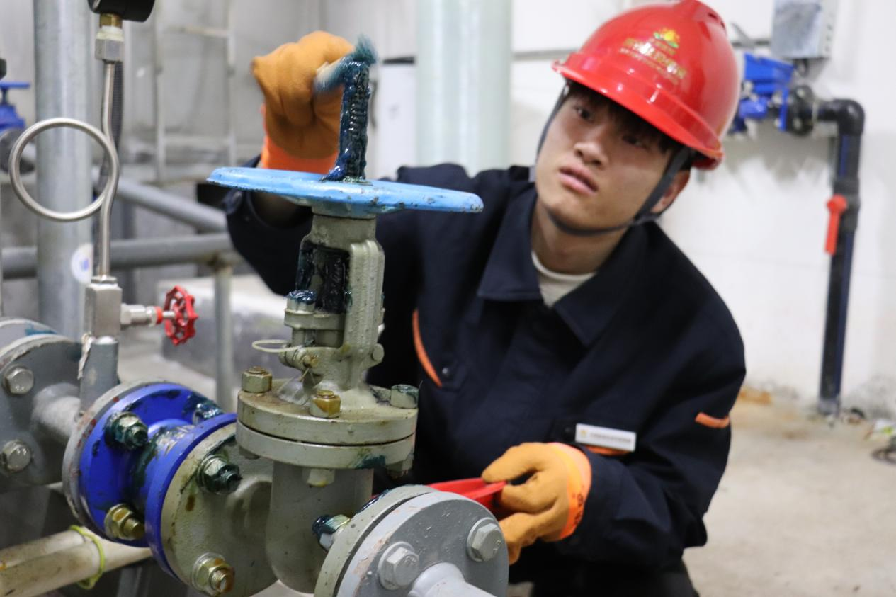 Z6���������ǲ�(�й���)�ٷ���վ