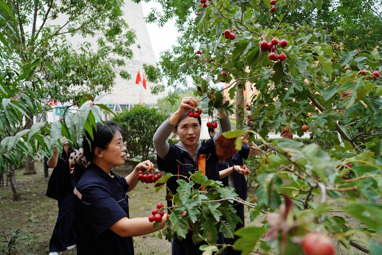 20250929095813301 Z6¡¤ÈËÉú¾ÍÊDz©(ÖйúÇø)¹Ù·½ÍøÕ¾