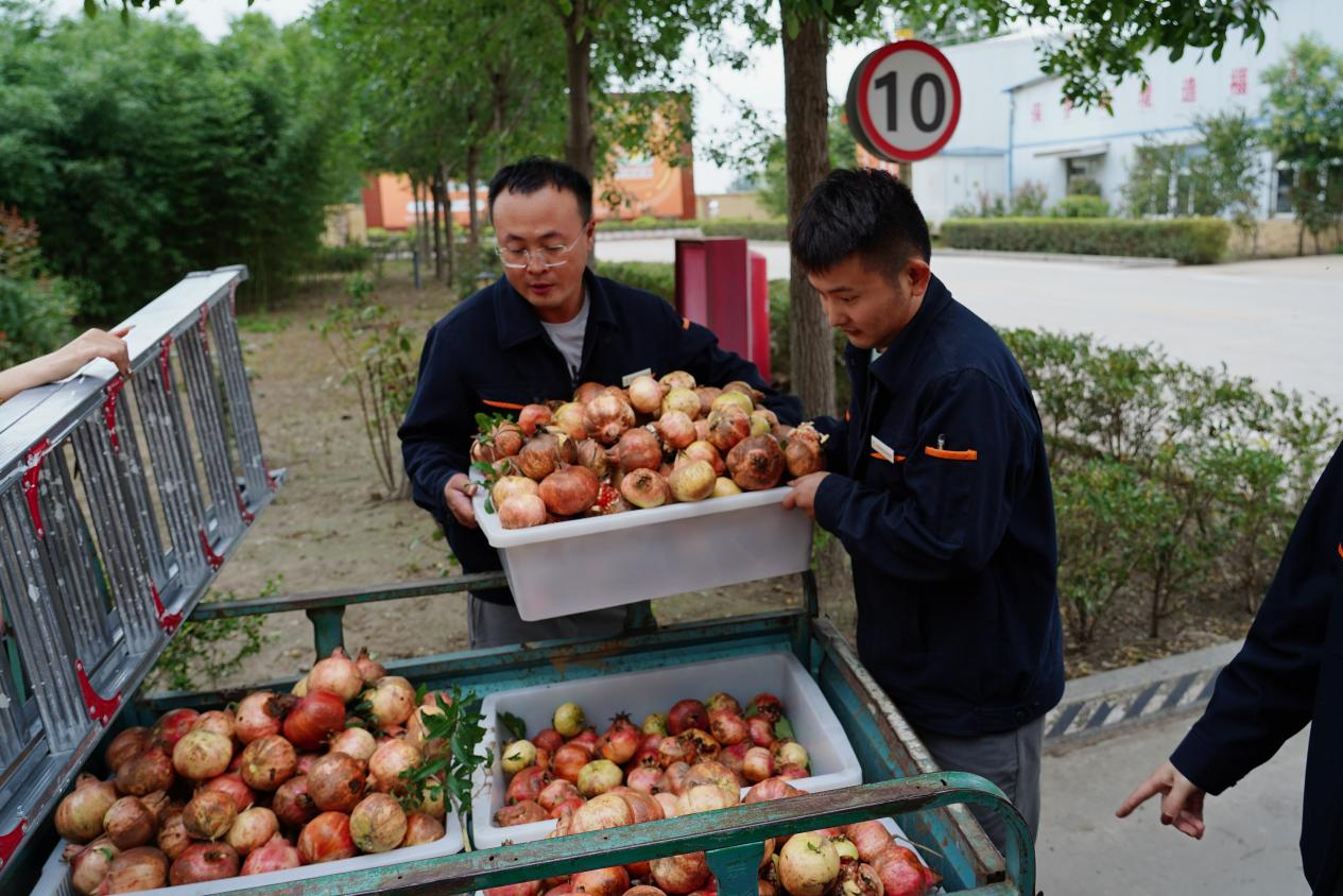 20250929095839977 Z6¡¤ÈËÉú¾ÍÊDz©(ÖйúÇø)¹Ù·½ÍøÕ¾