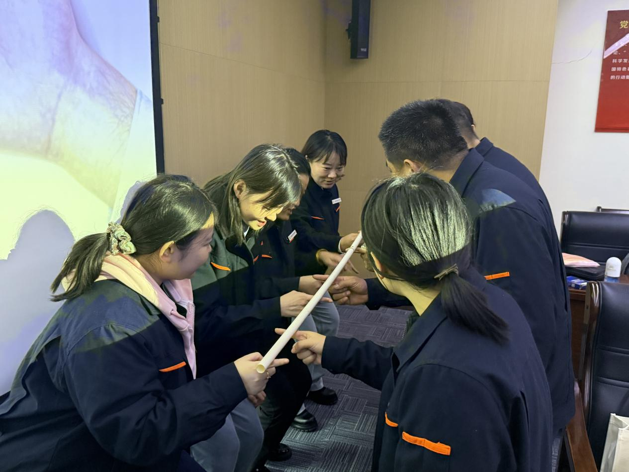 Z6���������ǲ�(�й���)�ٷ���վ