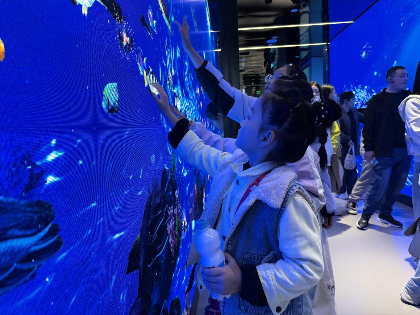 Z6���������ǲ�(�й���)�ٷ���վ