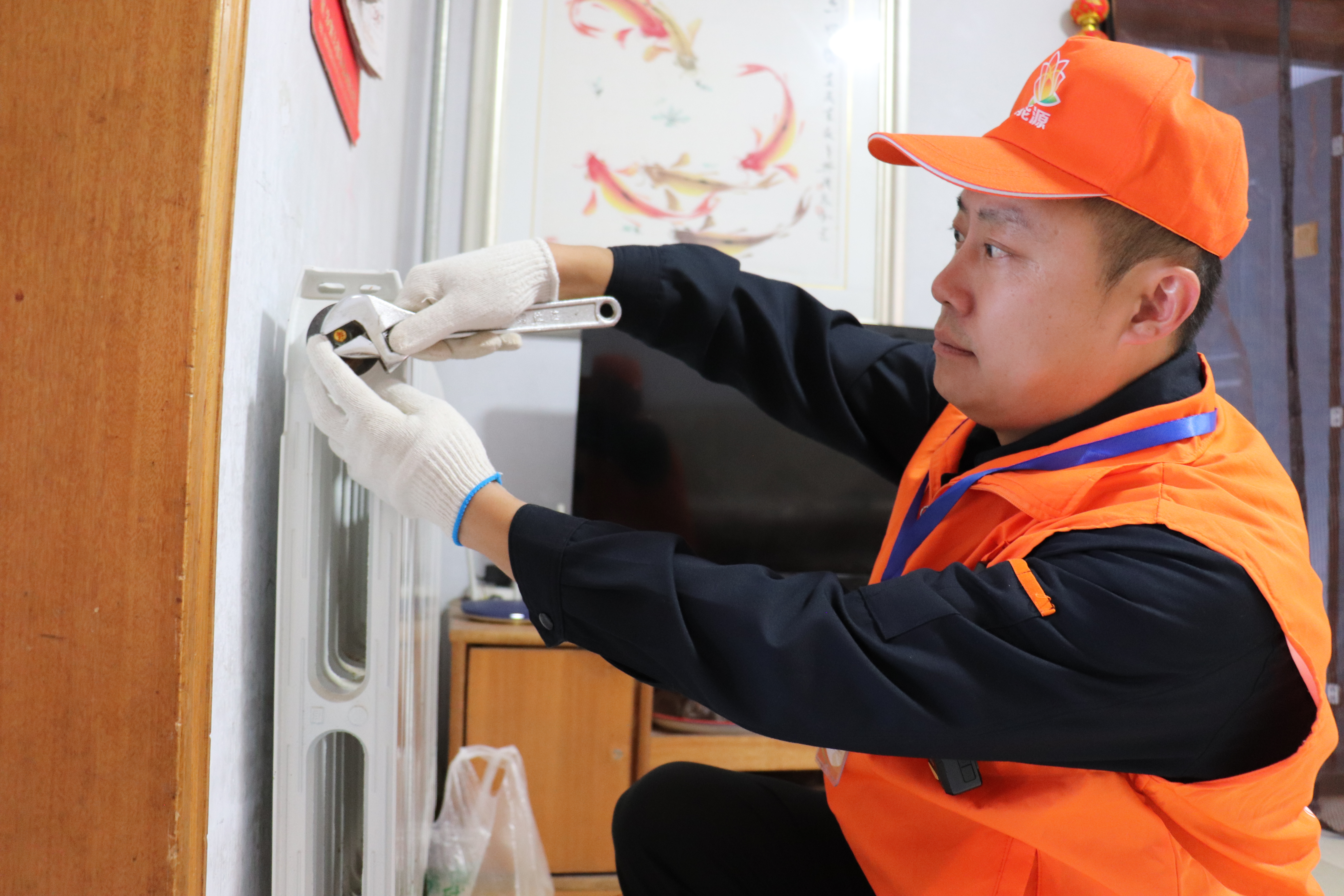 Z6���������ǲ�(�й���)�ٷ���վ